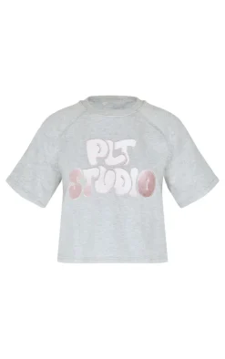 Ash Grey Contrast Embroidered Studio Print Sweat Top