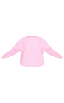 Ballet Pink Embroidered Oversized Sweatshirt