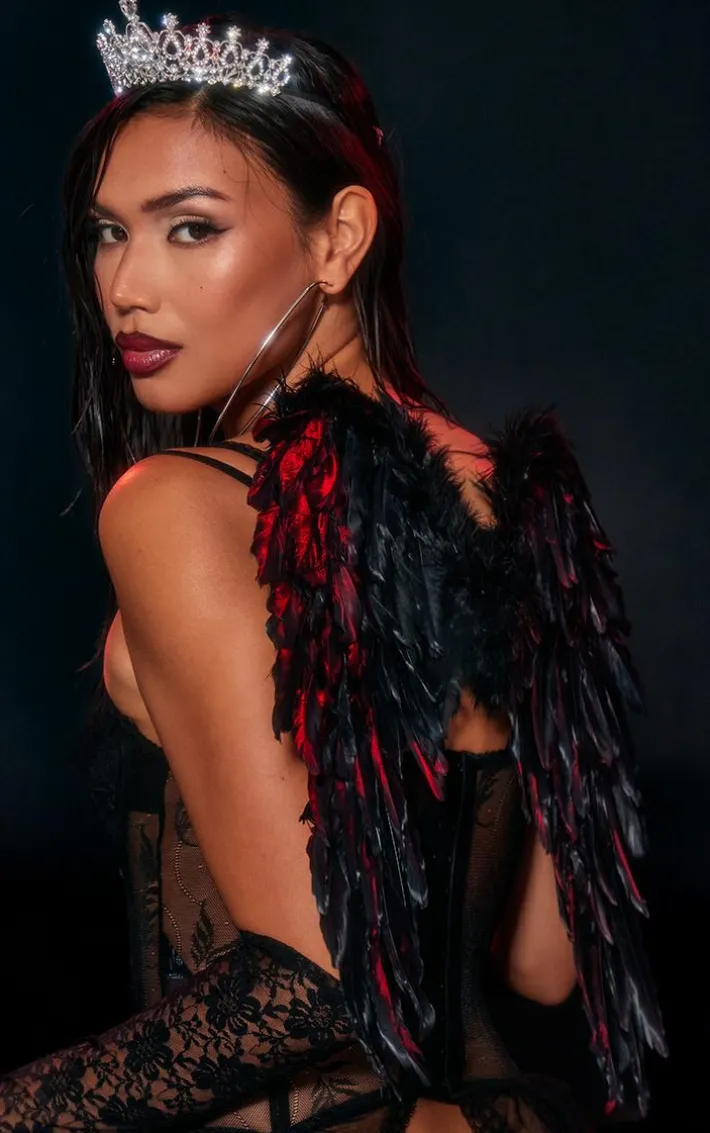 Black Feather Mini Wings And Tiara Accessories Set