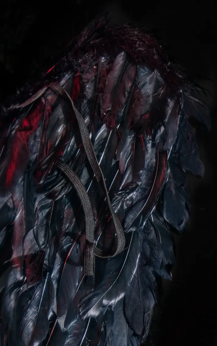 Black Feather Mini Wings And Tiara Accessories Set