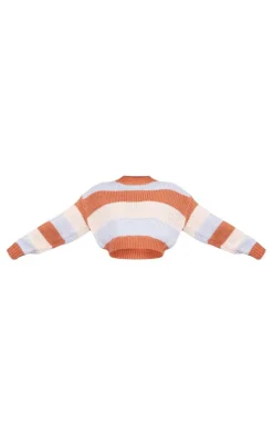 Brown Chunky Striped Knit Cropped Sweater
