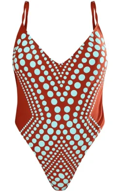 Brown Color Block Contrast Swimsuit