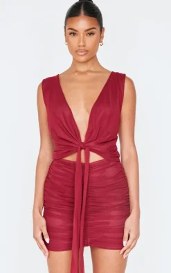 Burgundy Mesh Plunge Knot Detail Mini Dress