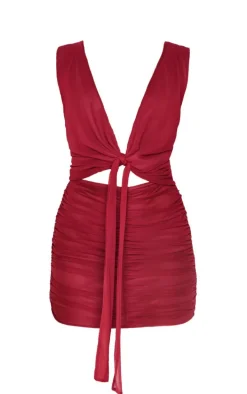 Burgundy Mesh Plunge Knot Detail Mini Dress