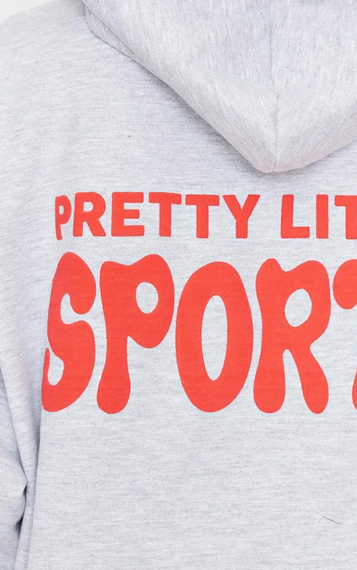 Ice Grey Pretty Little Sporty Back Puff Print Hoodie