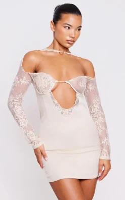 Nude Delicate Lace Long Sleeve Underwired Bodycon Dress