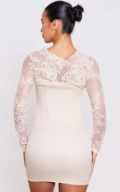 Nude Delicate Lace Long Sleeve Underwired Bodycon Dress