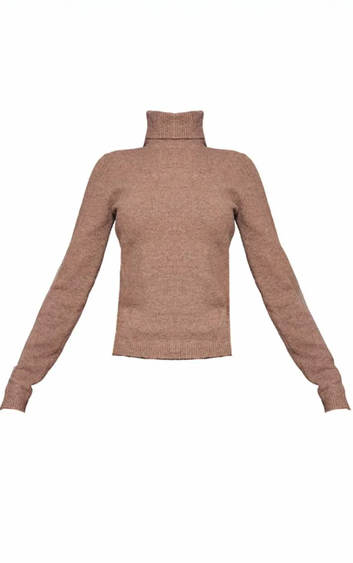 Petite Brown Knitted High Neck Long Top