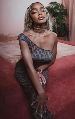 Petite Leopard Print Crushed Mesh Low Waist Maxi Skirt