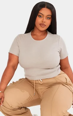 Plus Ash Grey Basic Rib Short Sleeve Crop Top