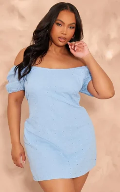 Plus Blue Broderie Lace Detail Mini Dress