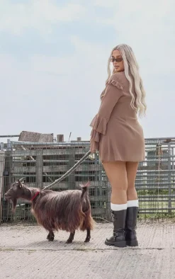 Plus Dark Brown Chiffon Ruffle Detail Long Sleeve A-line Shift Dress