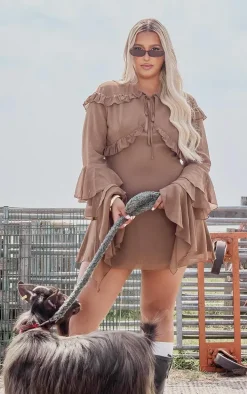 Plus Dark Brown Chiffon Ruffle Detail Long Sleeve A-line Shift Dress