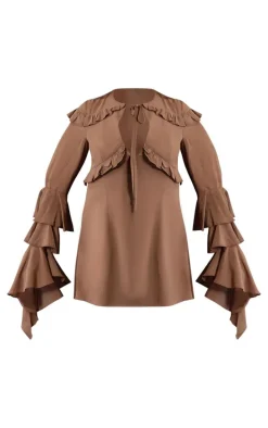 Plus Dark Brown Chiffon Ruffle Detail Long Sleeve A-line Shift Dress
