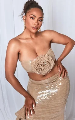 Plus Nude Sequin Flower Detail Bandeau Top