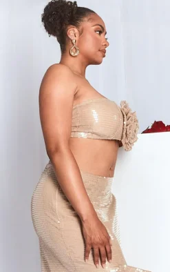 Plus Nude Sequin Flower Detail Bandeau Top