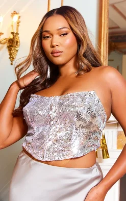 Plus Silver Sequin Hook And Eye Corset