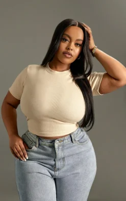 Plus Stone Basic Rib Short Sleeve Crop Top