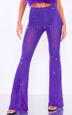 Premium Purple Embellished Mesh Pants