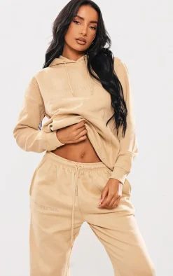 PRETTYLITTLETHING Stone Embroidered Graphic Hoodie