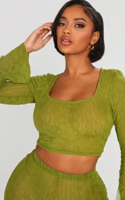 Shape Olive Textured Sheer Long Sleeve Crop Top