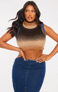 Shape Stone Ombre Knit Cropped Sleeveless Sweater