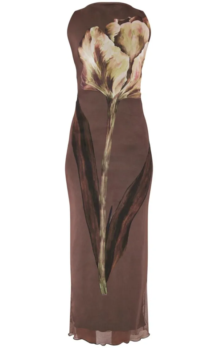 Tall Brown Printed Mesh Floral Print Midaxi Dress
