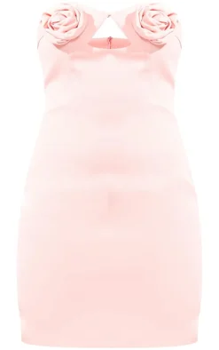 Tall Light Pink Rose Bust Detail Mini Dress