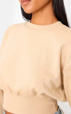 Tall Stone Cropped Sweatshirt