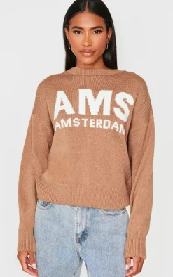 Taupe Graphic Soft Knit Oversized Sweater