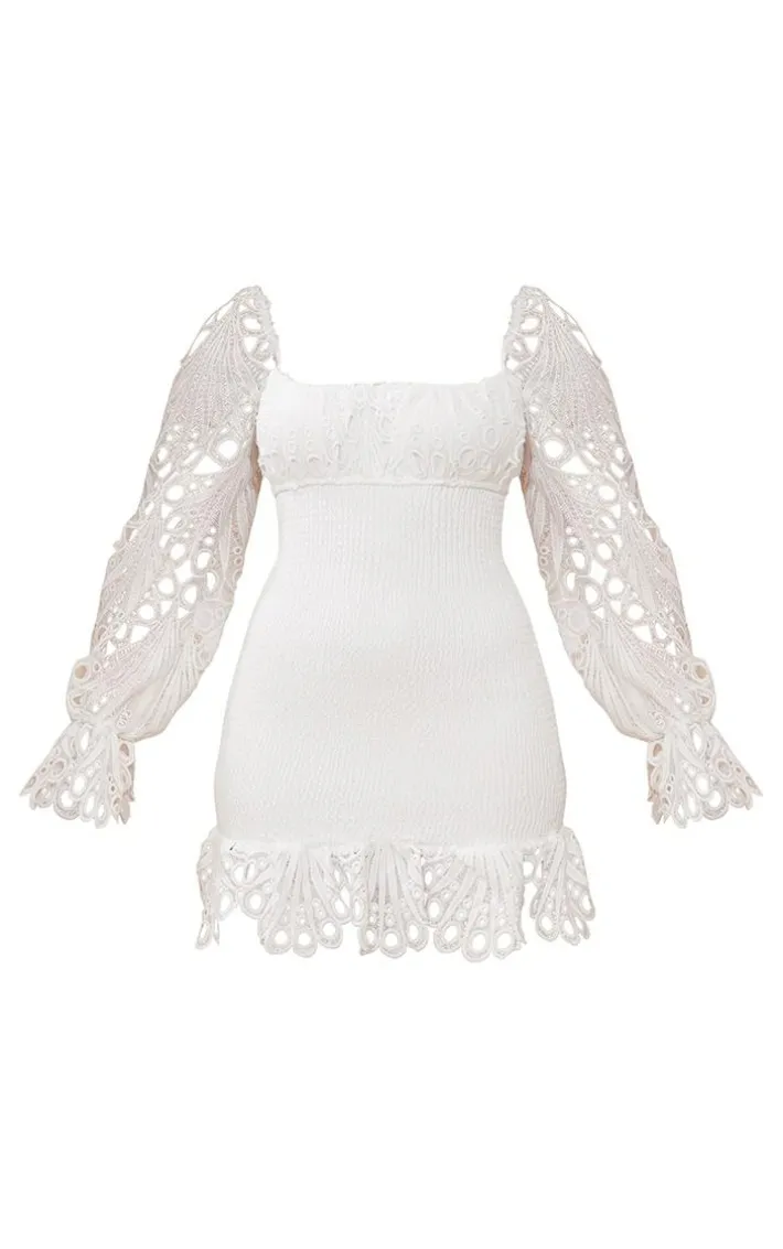 White Lace Sleeve Shirred Bodycon Dress